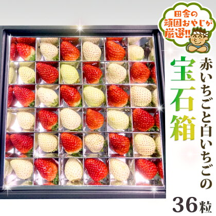 赤いちごと白いちごの宝石箱　【令和6年12月から順次お届け】　田舎の頑固おやじが厳選！ 旬 フルーツ 豪華 果物 春 夏