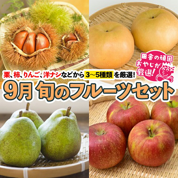 【ふるさと納税】旬のフルーツセット 9月号【令和6年9月より発送開始】 田舎の頑固おやじが厳選！