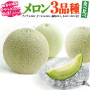 【ふるさと納税】メロン 食べ比べ セット【7月発送開始】田舎の頑固おやじが厳選! 茨城 ギフト フルーツ 果物 詰合せ