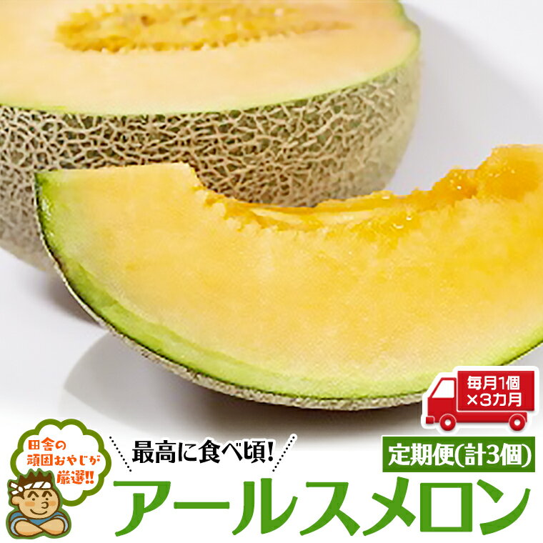 【ふるさと納税】 【定期便】 アールスメロン 毎月1個 × 3か月 (計3個)