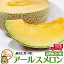 【ふるさと納税】 【定期便】 アールスメロン 毎月1個 × 6か月 (計6個)