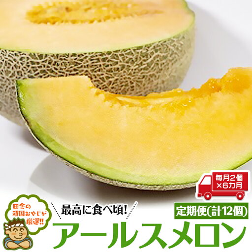 【ふるさと納税】 【定期便】 アールスメロン 毎月2個 × 6か月 (計12個) 【ふるさと納税】 【定期便】 アールスメロン 毎月2個 × 6か月 (計12個)