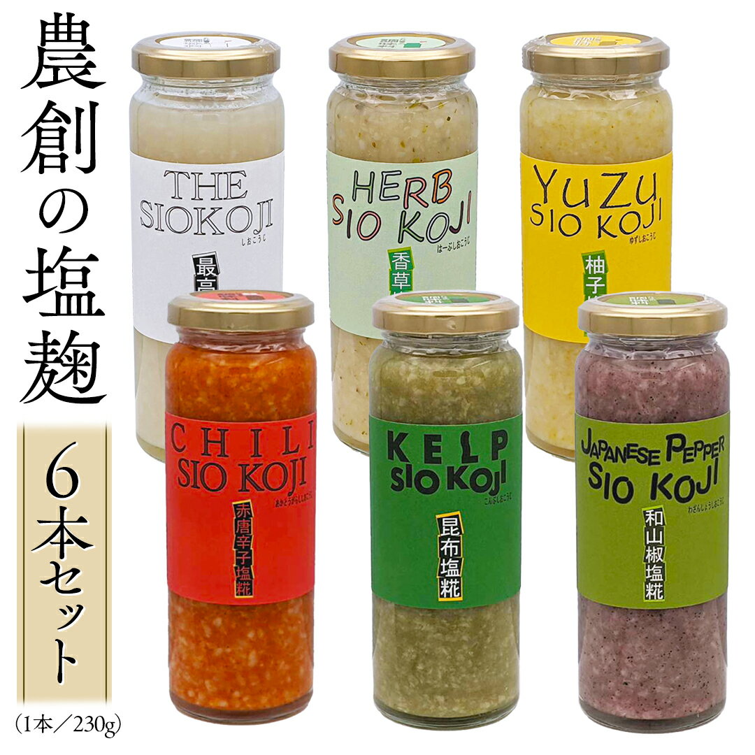 【ふるさと納税】塩糀 6本セット 塩麹 塩こうじ 料理 発酵 調味料 農創