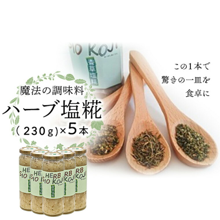 【ふるさと納税】魔法の調味料 【 ハーブ塩糀 】× 5本 塩糀 塩麹 塩こうじ 麹 ハーブ 料理 調味料 発酵 農創のサムネイル