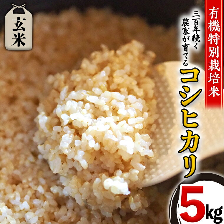 全国お取り寄せグルメ茨城コシヒカリ（玄米）No.15