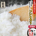 人気ランキング第24位「茨城県つくばみらい市」口コミ数「0件」評価「0」【 先行予約 】 令和6年産 ＜ 定期便 ＞ 精米 5kg×12回(毎月) 三百年 続く農家 の 有機特別栽培米 コシヒカリ 有機栽培 農創 米 こめ コメ ごはん ご飯 精米 白米 国産 茨城県産 おいしい 新生活 プレゼント 新生活応援 必要なもの 便利 おすすめ 消耗品