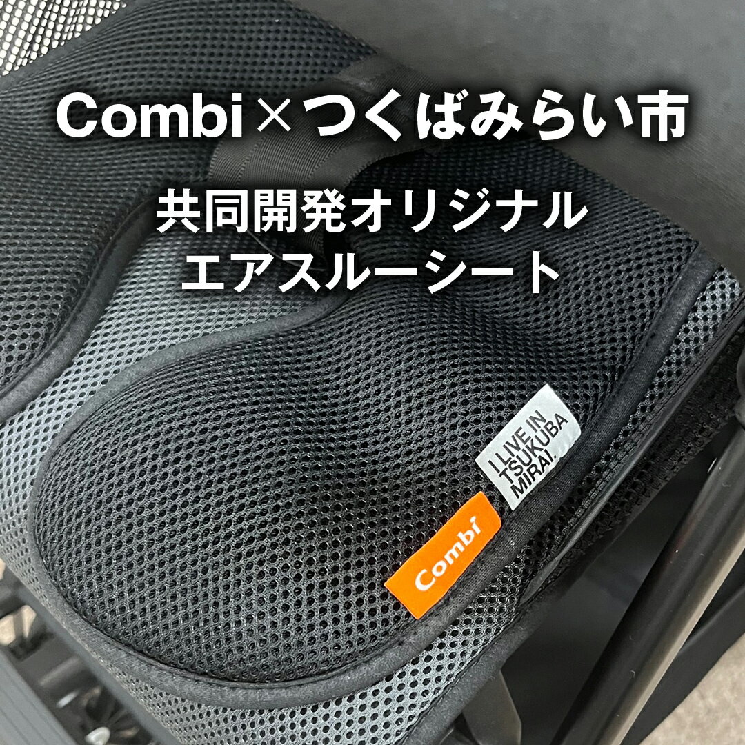 【ふるさと納税】【 コンビ 】 ベビーチェア ネムリラ AUTOSWING BEDi Long スリープシェル EG ミンティブルー スウィングベッド ハイチェア ローチェア オートスイング 新生児 0歳 1歳 2歳 3歳 こども combi 子供 赤ちゃん ベビー用品 日本製 ベビー用品 出産準備 出産