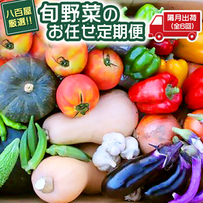 【ふるさと納税】八百屋厳選♪旬野菜のお任せ定期便隔月