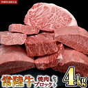 【ふるさと納税】【 常陸牛 】焼肉 ブロックセット合計 4kg (茨城県共通返礼品) 国産 焼き肉 牛肉 やきにく ブランド牛 肉 サーロイン キャンプ 黒毛和...
