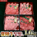 【ふるさと納税】【 常陸牛 希少部位 】焼肉 食べ比べ8種セット (茨城県共通返礼品) 箱入り 国産 焼き肉 牛肉 やきにく ブランド牛肉 サーロイン 黒毛和牛...