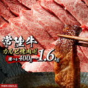 【ふるさと納税】レビューキャンペーン 実施中 【 常陸牛 】 焼肉用カルビ 選べる内容量 400g 800g 1600g (茨城県共通返礼品) ひたちぎゅうカルビ焼肉 牛肉 肉 お肉 精肉 国産牛 ブランド牛 和牛 A4 カルビ 牛カルビ 使い勝手 冷凍 焼肉 BBQ アウトドア キャンプ