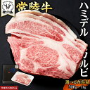 【ふるさと納税】\ 選べる容量! / 【 常陸牛 】A5 等級 ハミデルカルビ 300g 500g 1kg ひたちぎゅう ブランド牛 カルビ 国産牛 黒毛和牛 ...