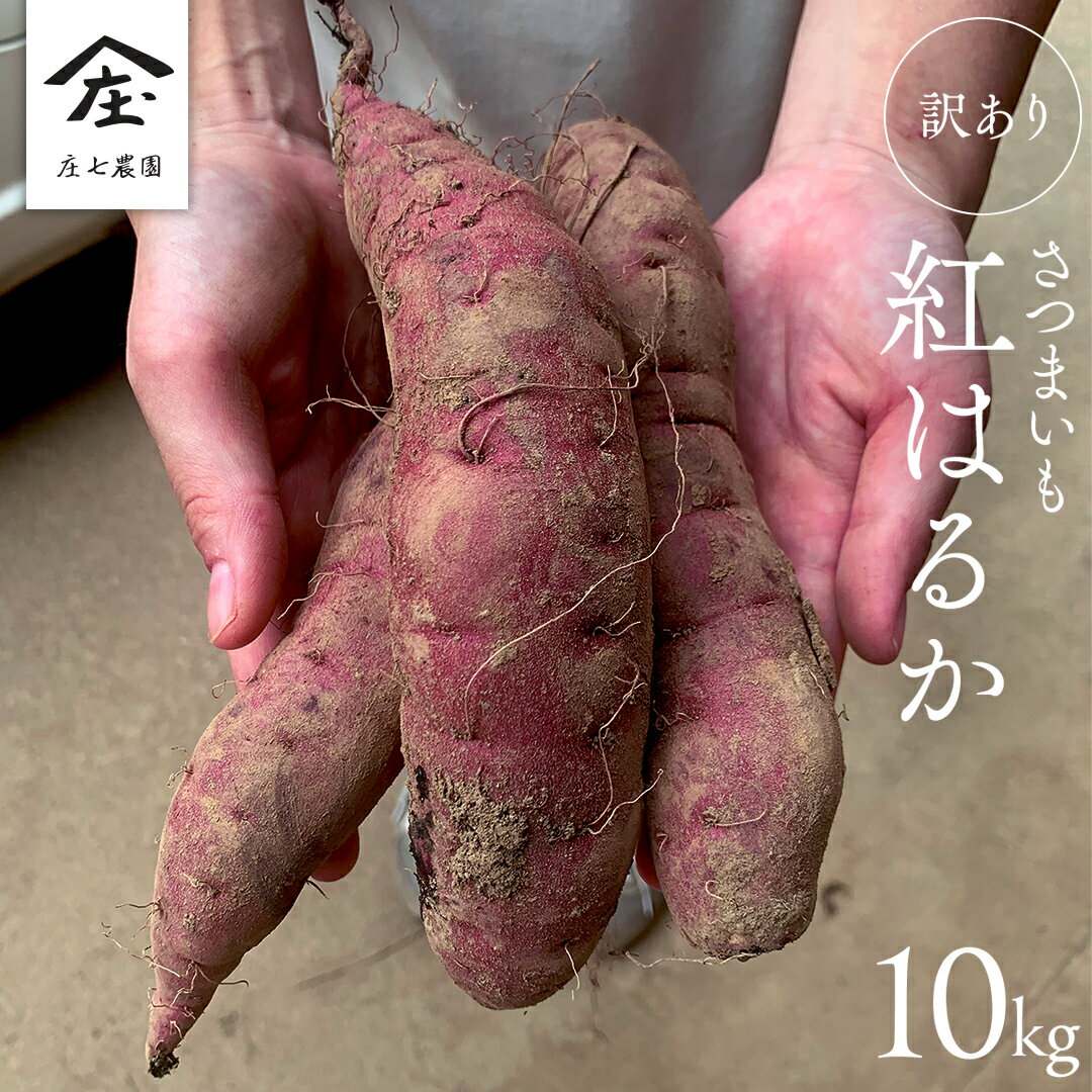 楽天市場】紅はるか 訳あり(総重量(野菜)10.0 ~ 10.9kg)の通販 楽天市場】紅はるか 訳あり(総重量(野菜)10.0 ~ 10.9kg)の通販
