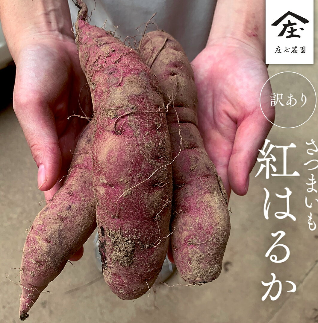 [ 訳あり ] さつまいも ! 紅はるか サツマイモ 芋 いも べにはるか 茨城 美味しい おいしい ワケアリ 訳アリ