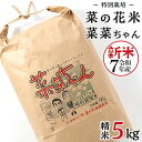 【ふるさと納税】令和7年産 コシヒカリ ( 精米 5kg ) 特別栽培 菜の花米 「菜菜ちゃん」 米 こめ ごはん ご飯 白米 国産 茨城県産 新生活 プレゼン...