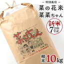 【ふるさと納税】令和7年産 コシヒカリ ( 精米 10kg ) 特別栽培 菜の花米 「菜菜ちゃん」 米 こめ ごはん ご飯 白米 国産 茨城県産 新生活 プレゼ...
