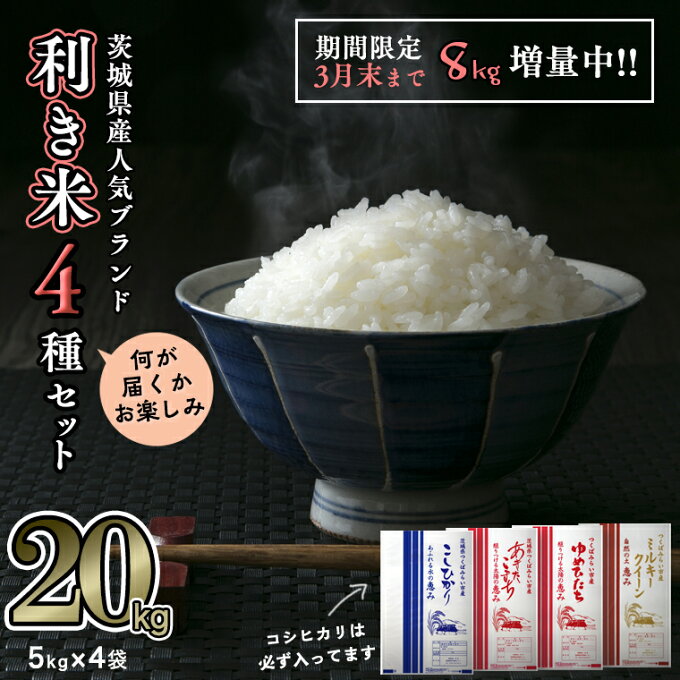 【ふるさと納税】精米 20kg(5kg×4袋）【 期間限定 8kg 増量中 】【 生...