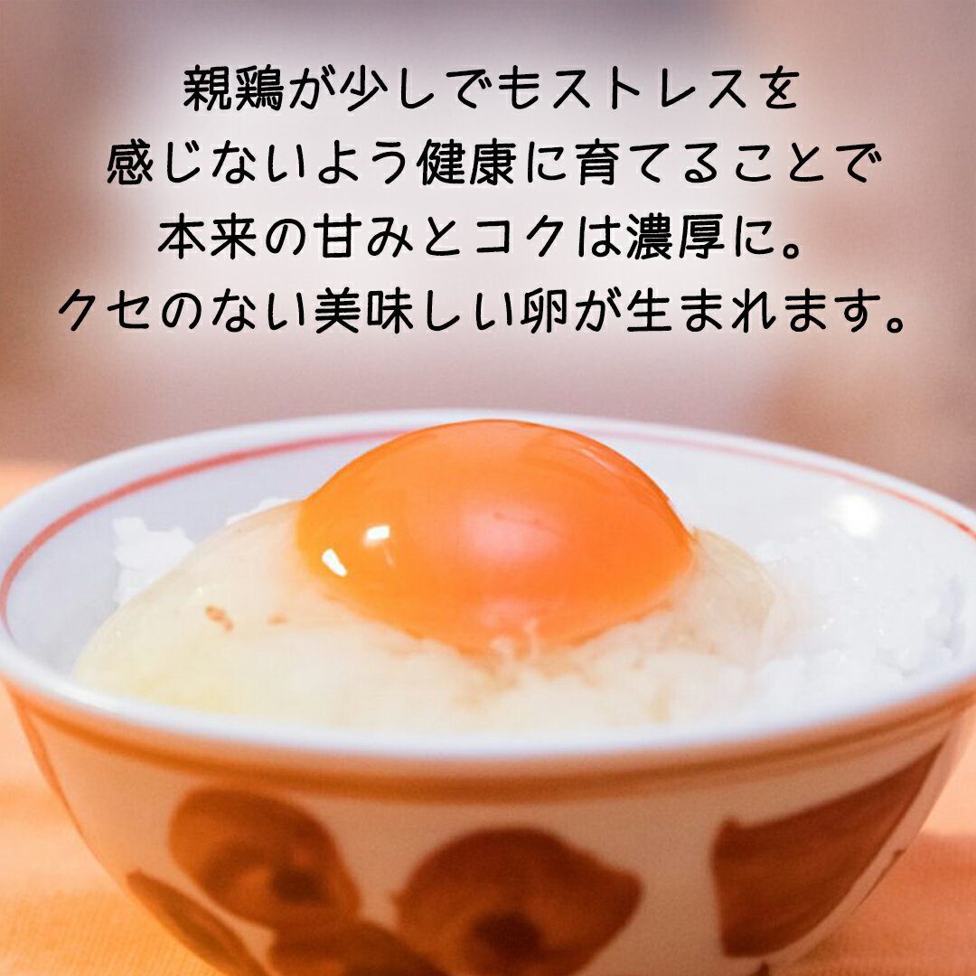 【ふるさと納税】＼ 選べる 内容量と 熨斗 ／ 紅プレミアム 卵 と 紅たまご 食べ比べ セット 50個 （ 各 20個 入り ＋ 割れ保障 各 5個 ） 独自飼料 濃厚 おいしい玉子 玉子 たまご サンサンエッグ タンパク質 熨斗 のし ギフト 贈呈