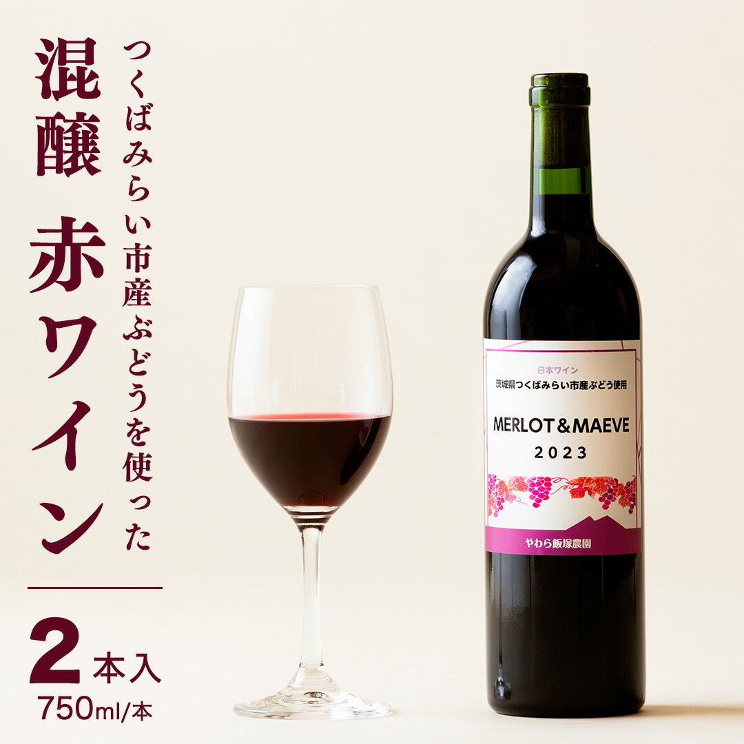 【ふるさと納税】つくばみらい市 産 ぶどう を使った 混醸 赤ワイン 2本 入 ワイン お酒 酒 果実酒 フルーツ 果物 果実酒 ブドウ おつまみ 贈り物 お取り寄せ プレゼント