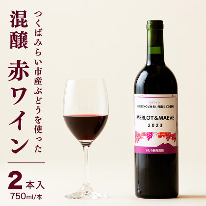 つくばみらい市 産 ぶどう を使った 混醸 赤ワイン 2本 入 ワイン お酒 酒 果実酒 フルーツ 果物 果実酒 ブドウ おつまみ 贈り物 お取り寄せ プレゼント