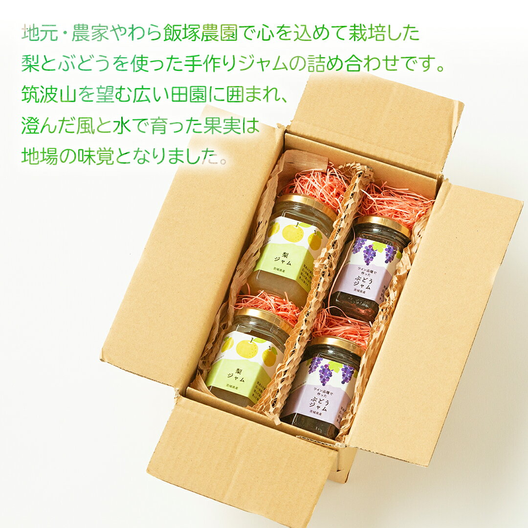【ふるさと納税】地元農家が作る つくばみらい市産 果実 を使った 梨 と ぶどう の ジャム 各種2個入り 計4個セット 梨 幸水 豊水 ぶどう ワイン品種 メイヴ やわら飯塚農園 パン ヨーグルト かき氷 アイス ピザ 朝食 おやつ 茨城県 つくばみらい市 地元農家 果物 セット
