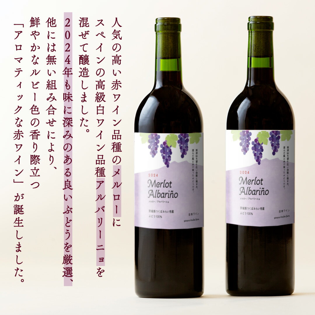 【ふるさと納税】つくばみらい市産ぶどうを使った「 アロマティックな 赤ワイン 」2本入 ワイン お酒 酒 フルーツ 果物 果実酒 ブドウ おつまみ 贈り物 お取り寄せ プレゼント 記念日