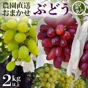 【ふるさと納税】【 訳あり 】 ご家庭用 朝採れ ぶどう (品種おまかせ) 計 2kg 以上 葡萄 ぶどう ブドウ 農園直送 果物 フルーツ デザート 食べ比べ 秋 茨城県 期間限定 季節限定