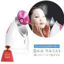 【ふるさと納税】 レビューキャンペーン実施中!! フェイシャルスチーマー 美ルル ウルミスト \ 選べる ラッピング対応 / 微粒子 ミスト 保湿 粒子 スキンケア ナノ 美容家電 自宅エステ 自宅ケア
