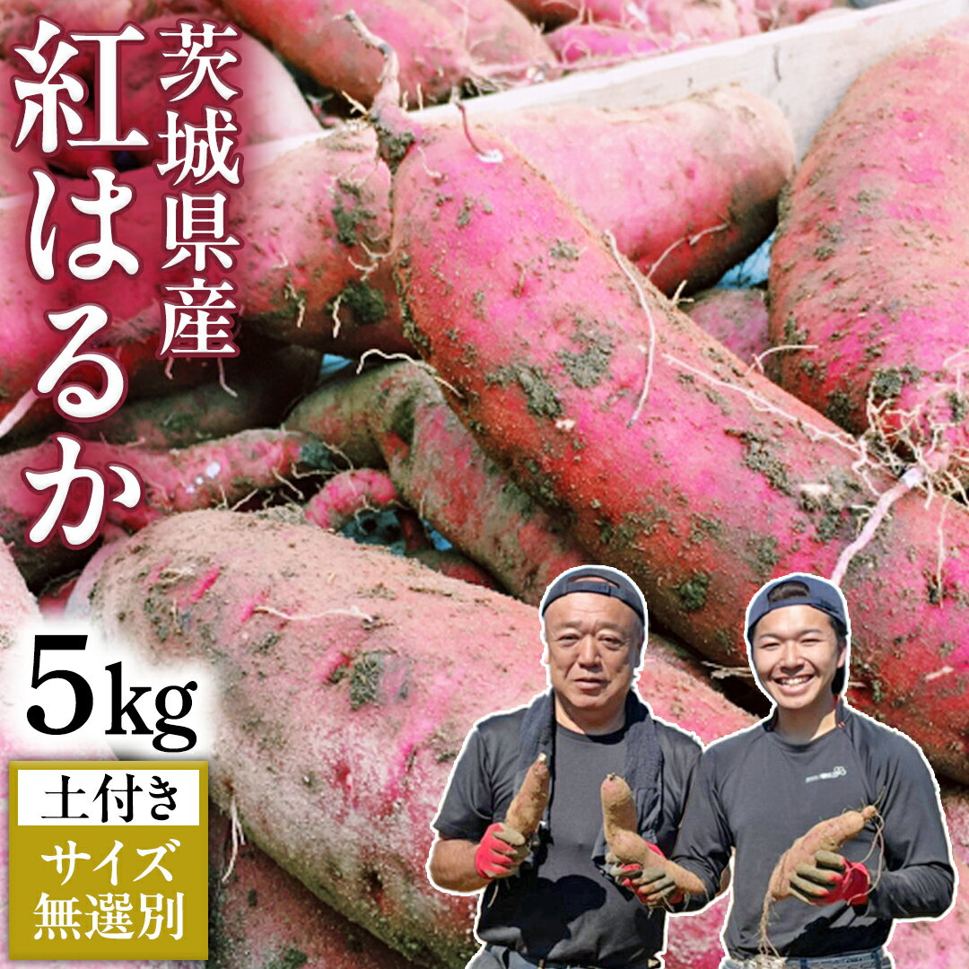 【ふるさと納税】【 先行予約 】 茨城県産 さつまいも 5kg （ 紅はるか ） 土付き ・ サイズ 無選別 【2023年10月下旬より順次発送】 土 土付き 土つき 高糖度 茨城 自然栽培 サツマイモ 芋 国産 おいしいのサムネイル