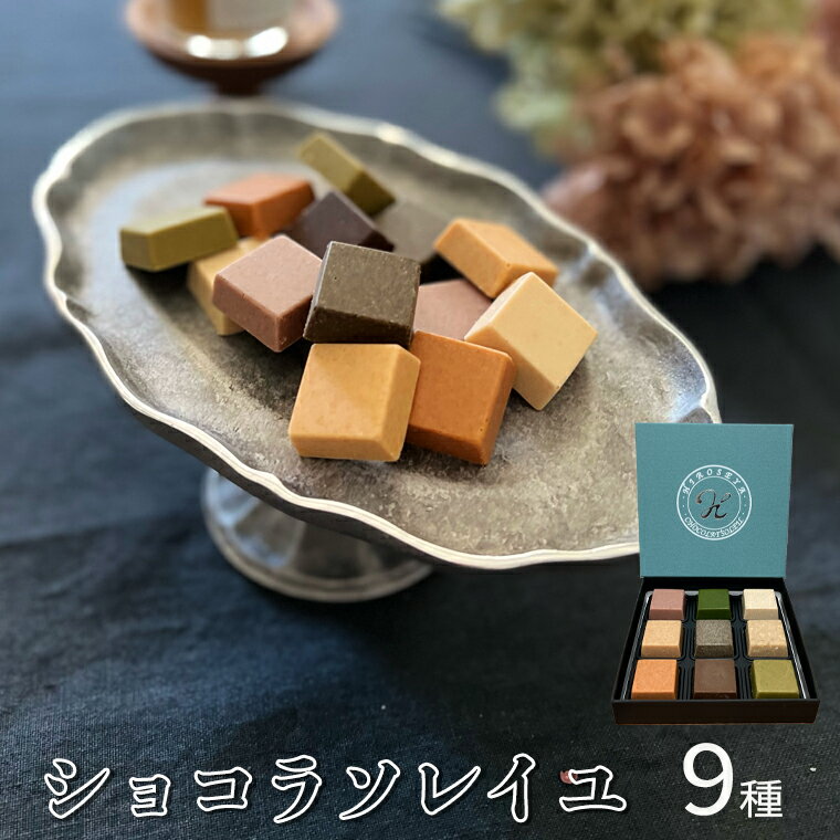 23位! 口コミ数「0件」評価「0」ショコラソレイユ 9種 チョコレート チョコ スイーツ デザート 高級 ギフト 贈り物 お礼 プレゼント 手土産 お菓子 父の日 母の日