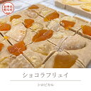 ※SKU移行済み※【ふるさと納税】 【お中元熨斗付】ショコラフリュイ トロピカル チョコレート チョコ スイーツ デザート 高級 ギフト 贈り物 お礼 プレゼント 手土産 お菓子(4)