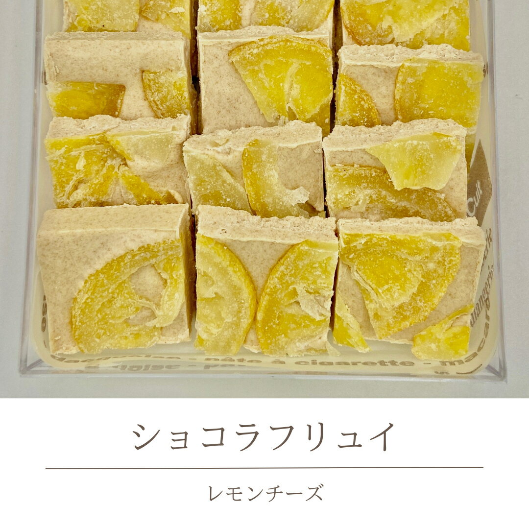 【ふるさと納税】 ショコラフリュイ　レモンチーズ チョコレート チョコ スイーツ デザート 高級 ギフト 贈り物 お礼 プレゼント 手土産 お菓子のサムネイル