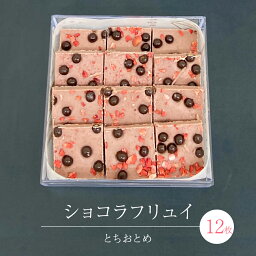 【ふるさと納税】ショコラフリュイ とちおとめ 12枚 チョコレート チョコ スイーツ デザート 高級 ギフト 贈り物 お礼 プレゼント 手土産 お菓子