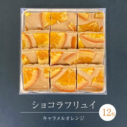 【ふるさと納税】ショコラフリュイ キャラメルオレンジ 12枚 チョコレート チョコ スイーツ デザート 高級 ギフト 贈り物 お礼 プレゼント 手土産 お菓子