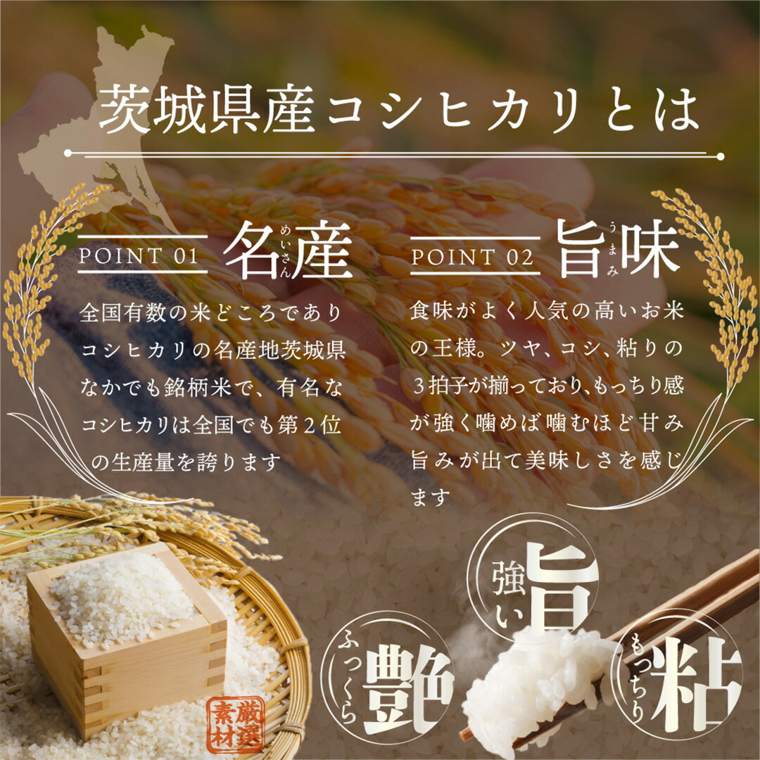 【ふるさと納税】 【 お試しサイズ 】 茨城県産 コシヒカリ 300g (300g×1袋) お試し ♪ 2合 五つ星お米マイスター監修 寄附額 1000円 ポッキリ 米 精米 茨城 お米 おこめ ごはん 白米 米 茨城産 こしひかり