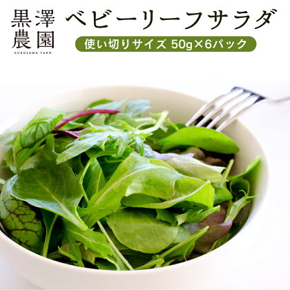 黒澤農園 の ベビーリーフサラダ （ 50g × 6パック ） 使い切りサイズ ベビーリーフ サラダ 生野菜 食べやすい 若葉 使い切り 旬 新鮮 国産 彩り 大容量