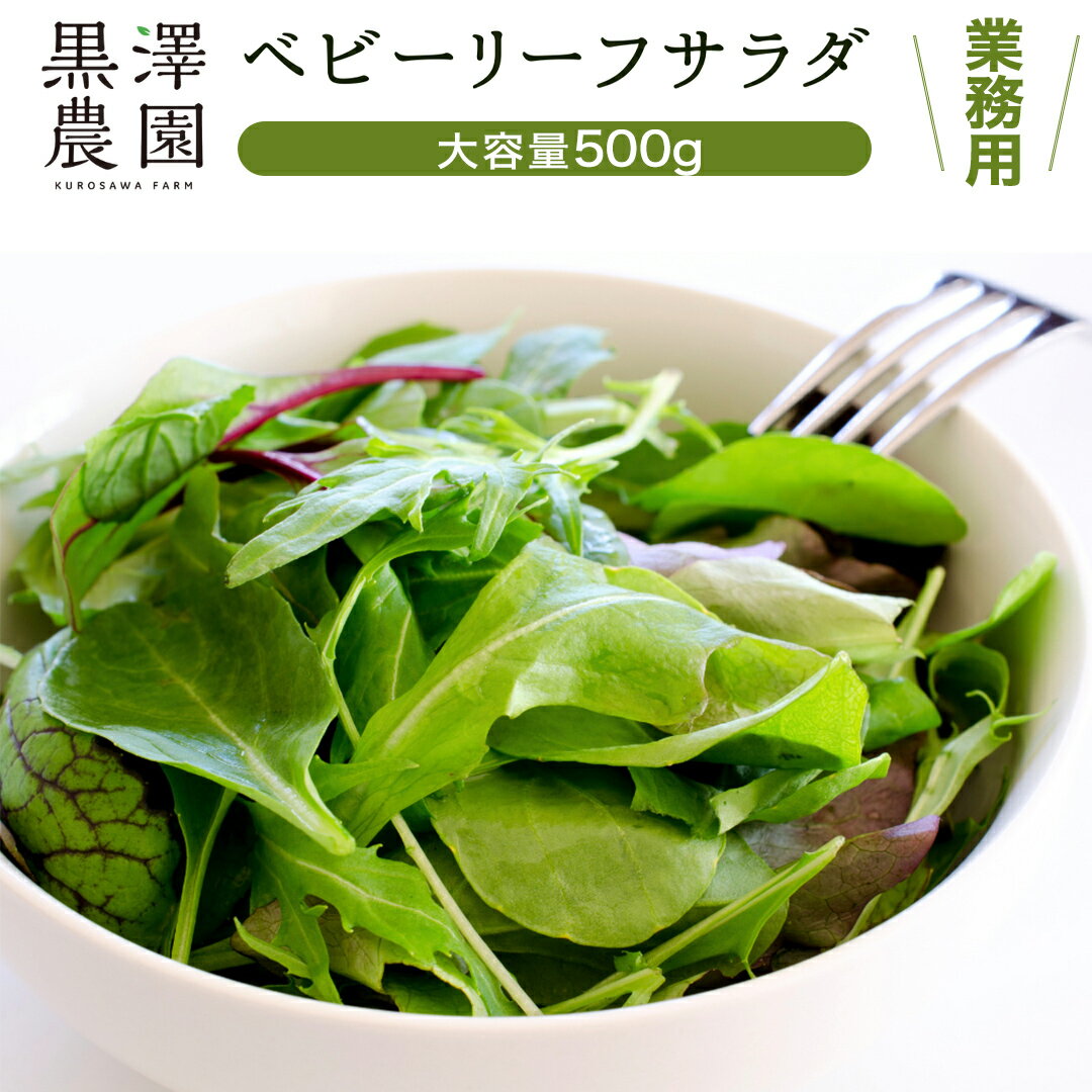 ڤդ뤵Ǽǡۡ ̳  ߷  ٥ӡ꡼ե 500g ̥ ȼԸ ٥ӡ꡼   ٤䤹...