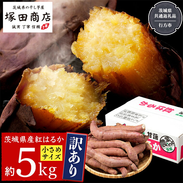 【ふるさと納税】 訳あり さつまいも 5kg 小さめ 無選別 （茨城県共通返礼品：行方市） 茨城県 行方市 サツマイモ さつま芋 お徳用のサムネイル