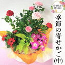 【ふるさと納税】季節の寄せかご(中) 花 お花 フラワー 誕生日 プレゼント ギフト 贈り物 父の日 母の日