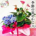 【ふるさと納税】季節の寄せかご(大) 花 お花 フラワー 誕生日 プレゼント ギフト 贈り物 父の日 母の日
