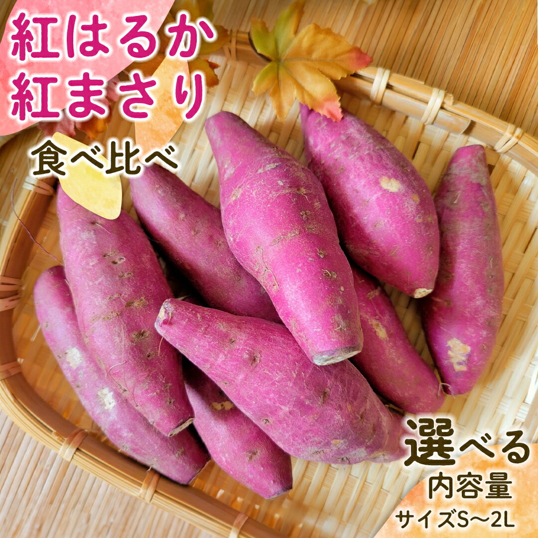 【先行予約】 茨城県産 紅はるか／紅まさり 食べ比べ サイズS～2L さつまいも サツマイモ 紅はるか 紅まさり