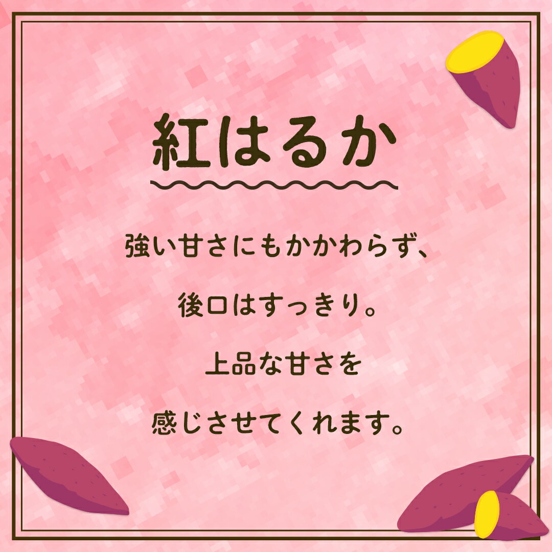 【ふるさと納税】【先行予約】 茨城県産 紅はるか サイズS～2L さつまいも サツマイモ 紅はるか