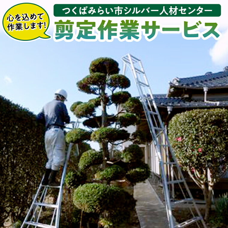 代行サービス(庭木・芝生の手入れ)人気ランク21位　口コミ数「0件」評価「0」「【ふるさと納税】剪定作業サービス」