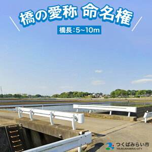 【ふるさと納税】つくばみらい市 橋の愛称 命名権 (橋長5m~10m) 命名権 命名 橋 名づけ 権利 広告 ネーミングライツ