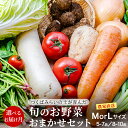 【ふるさと納税】 \ 選べるお届け月と内容量/ 農家直送 旬のお野菜 おまかせセット 野菜セット 野菜 旬 詰め合わせ やさい おまかせ 自然 春野菜 夏野菜 セット 季節 新鮮 旬 農家直送