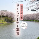 【ふるさと納税】【 福岡堰 桜並木 】さくらオーナー募集【5年間・記念プレート設置】 桜 オーナー オーナー制度 権利 環境保全 自然保護 桜保全管理 地域貢献 祝 記念 記念撮影 写真撮影 記念写真 思い出 フォト 誕生 七五三 ウェディング 結婚 銀婚 金婚 入園 入学 卒業