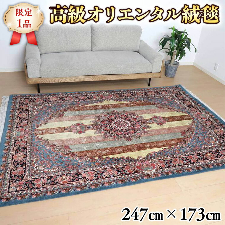 [限定1品] ペルシャ絨毯 ウール シルク 手織り ラグマット カーペット/ 高級 リビングサイズ 247×173cm 高品質 じゅうたん ラグ (FL-22001) 繊細 メダリオン 花柄 ダイニング 寝室 書斎 和室 床暖房 ホットカーペット対応 じゅうたん ラグ