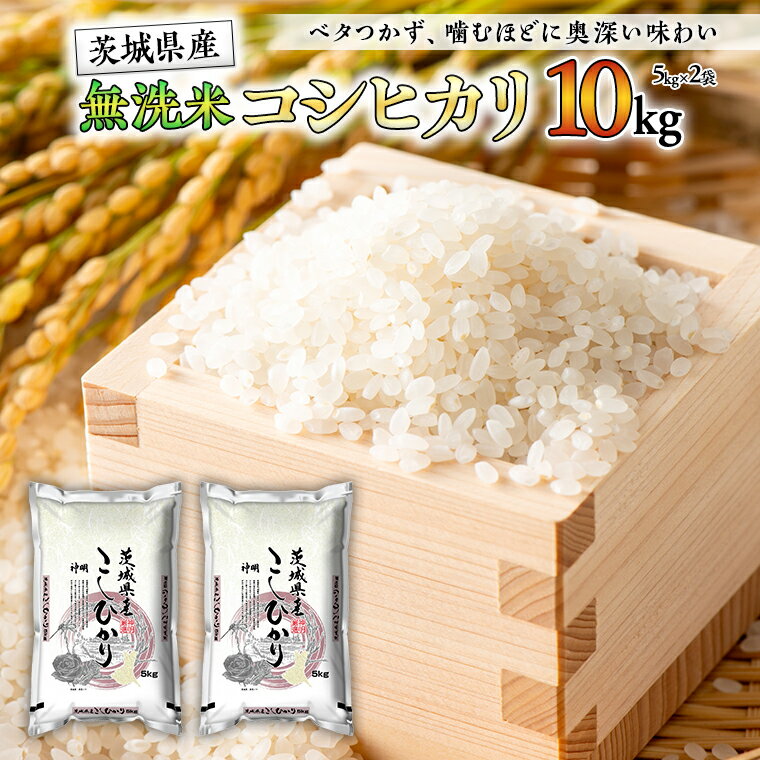 【ふるさと納税】令和4年産 無洗米 茨城 こしひかり 10kg（無洗米5kg×2本） 無洗米 国産 お米 米 コメ 白米 ライス ご飯 おいしい コシヒカリ ごはん 新生活 プレゼント 新生活応援 必要なもの 便利 おすすめ 消耗品 一人暮らし 二人暮らし 必要のサムネイル