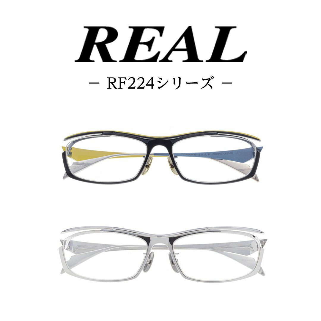 【ふるさと納税】【 リアル メガネ タートル 】 REAL RF224 度無しブルーライトカットレンズ仕様 眼鏡 メガネフレーム 国産 鯖江製