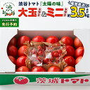 【ふるさと納税】【 2026年 収穫分 先行予約 】 -太陽の味- 渋谷トマト 大玉トマト・ミニトマト詰め合わせ 約3.5kg 2026年1月5日~発送開始 トマト ミニトマト 茨城 産地直送 農家直送リコピン ビタミン 有機肥料 野菜 甘い 直売所